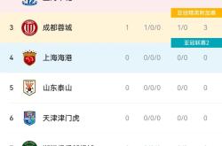开云体育登录-包含国安主场战平深圳佳兆业，保持不败战绩的词条