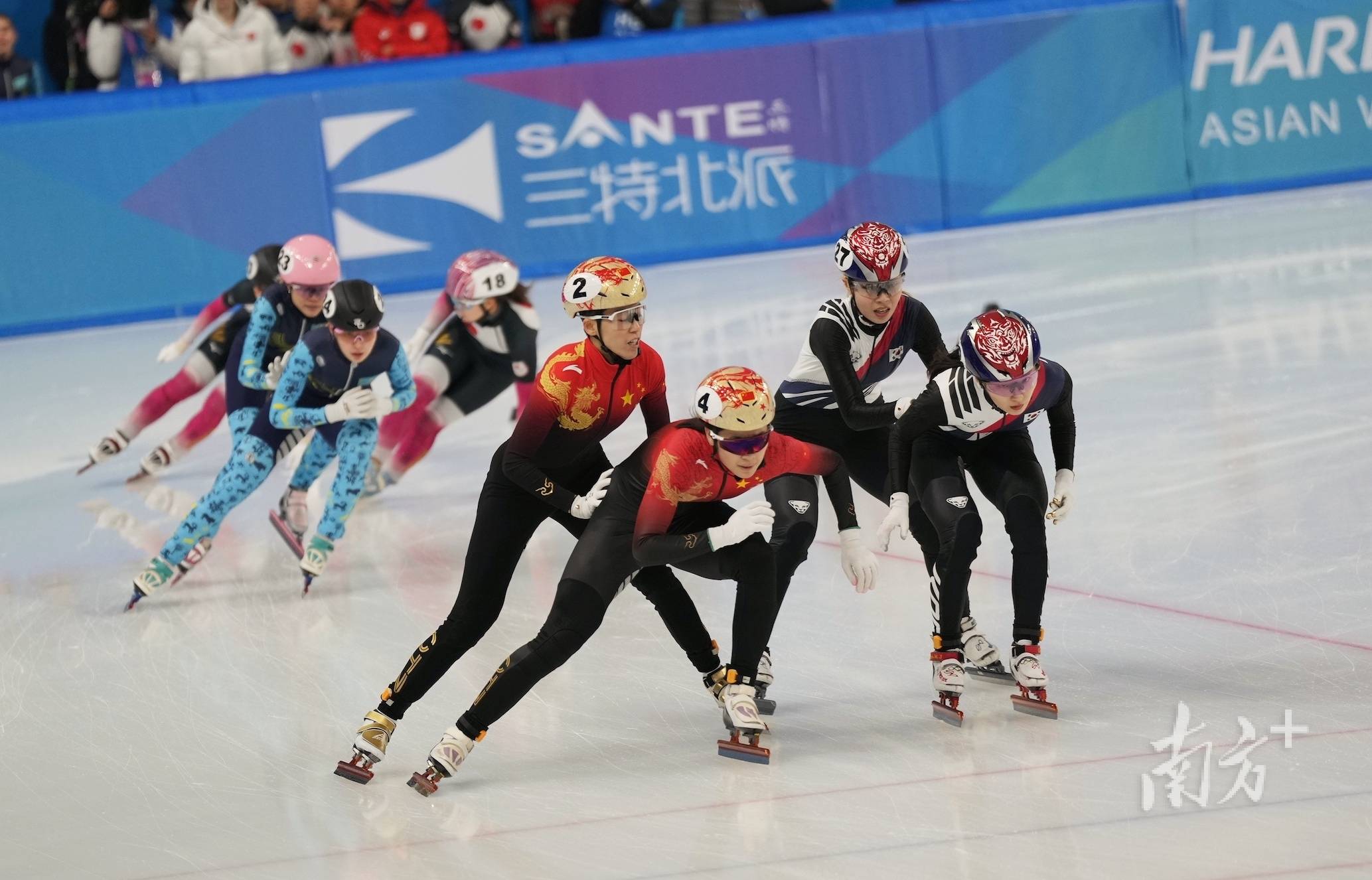 关于短道速滑选手奋力拼搏,一路领先夺冠的信息 关于短道速滑选手奋力拼搏,一路领先夺冠的信息