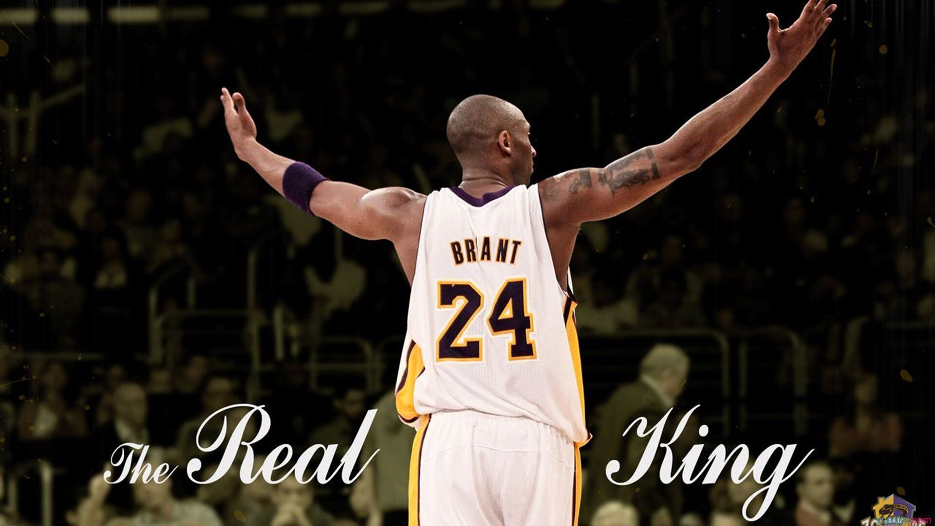 冰火交锋,吉林队力克森林狼,约基奇化身关键先生定乾坤