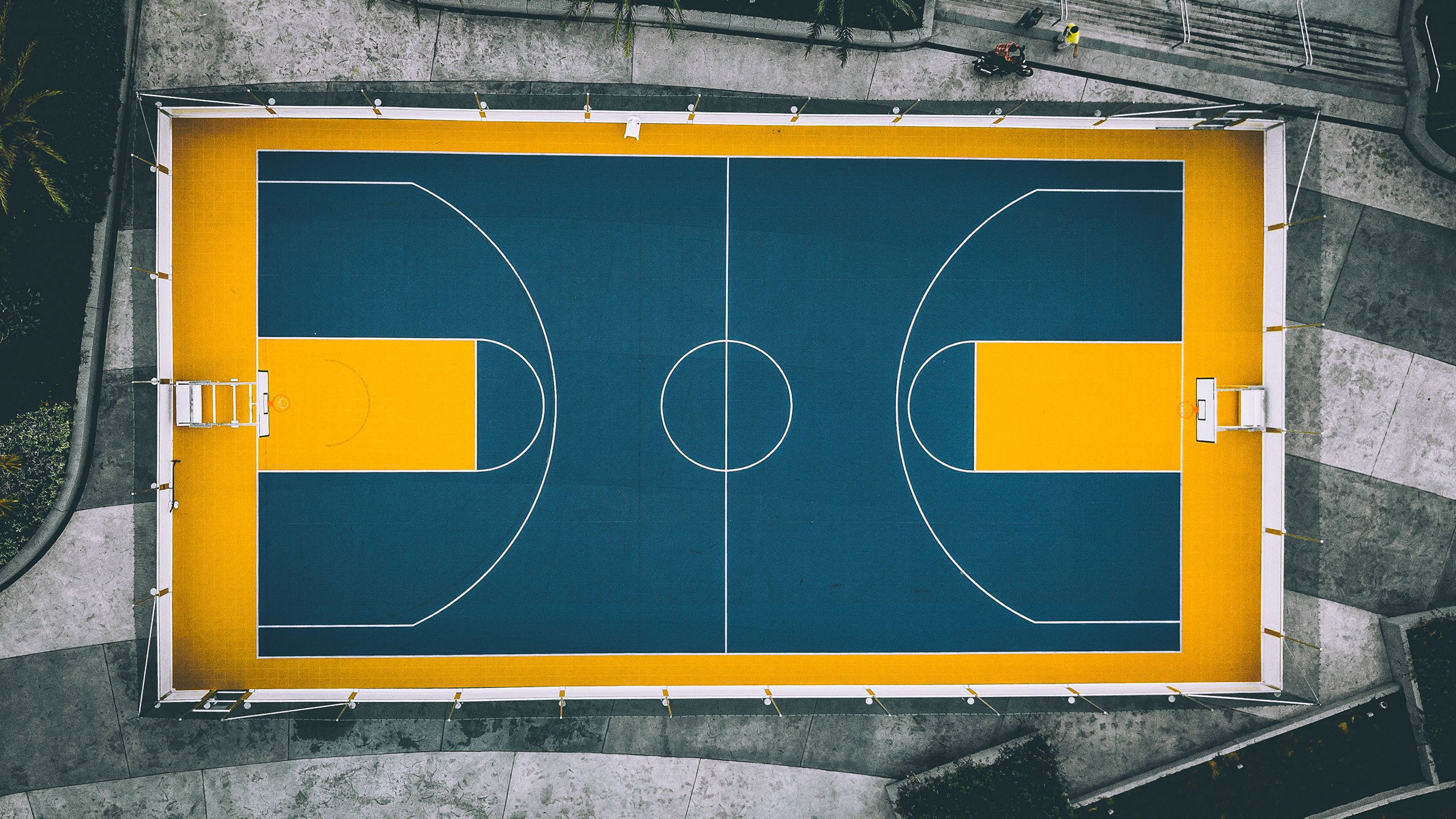 碾压与逆转,2026世界杯四分之一决赛,突尼斯如何用钢铁防线粉碎波兰,京多安用一记绝杀书写唯一答案